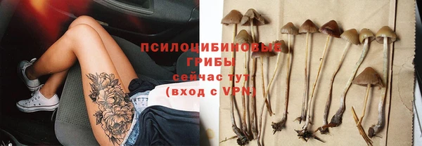 бошки Шарыпово
